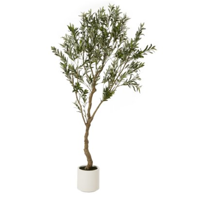 Faux Apulia Olive Tree In White Pot - 200cm