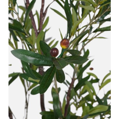 Faux Mediterranean Olive Fruit Tree - 170cm