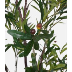 Faux Mediterranean Olive Fruit Tree - 170cm