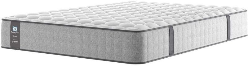 Sealy Riley Firm Mattress Sealy Riley Firm Mattress