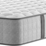 Sealy Riley Firm Mattress Sealy Riley Firm Mattress