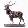 Driftwood Stag Driftwood Stag