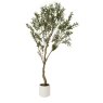 Faux Apulia Olive Tree In White Pot - 200cm Faux Apulia Olive Tree In White Pot - 200cm